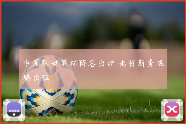 中国队世界杯阵容出炉 老将新秀混编出征