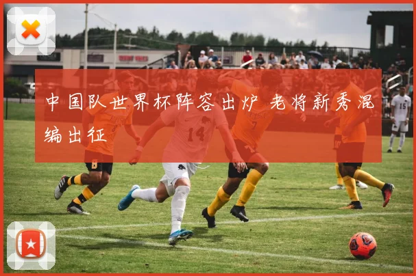 中国队世界杯阵容出炉 老将新秀混编出征